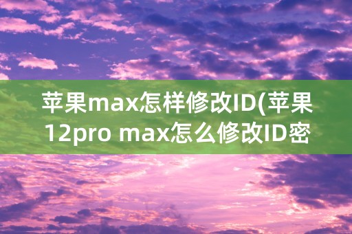 苹果max怎样修改ID(苹果12pro max怎么修改ID密码)