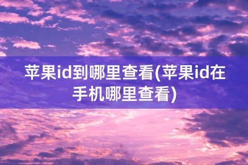 苹果id到哪里查看(苹果id在手机哪里查看)