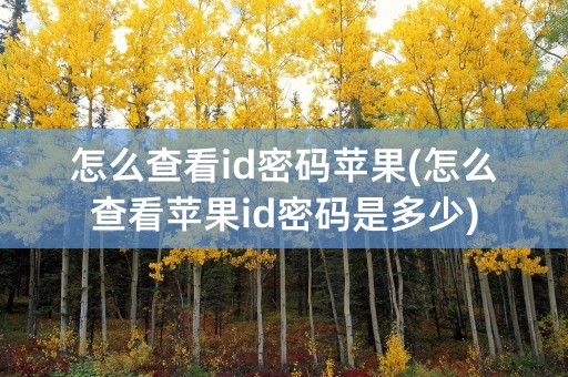 怎么查看id密码苹果(怎么查看苹果id密码是多少)