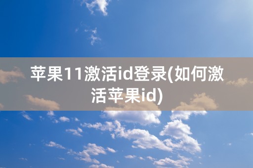 苹果11激活id登录(如何激活苹果id)