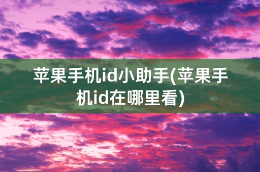 苹果手机id小助手(苹果手机id在哪里看)