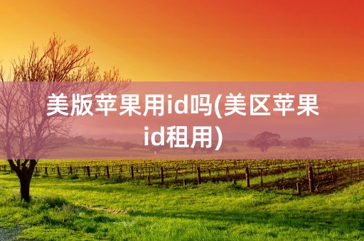 美版苹果用id吗(美区苹果id租用)