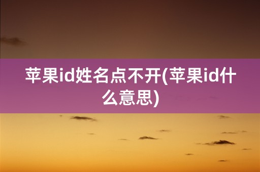 苹果id姓名点不开(苹果id什么意思)