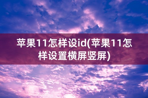 苹果11怎样设id(苹果11怎样设置横屏竖屏)