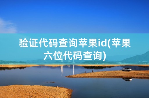 验证代码查询苹果id(苹果六位代码查询)