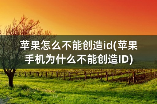 苹果怎么不能创造id(苹果手机为什么不能创造ID)