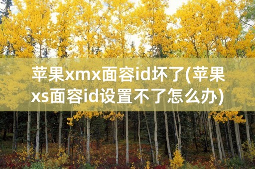 苹果xmx面容id坏了(苹果xs面容id设置不了怎么办)