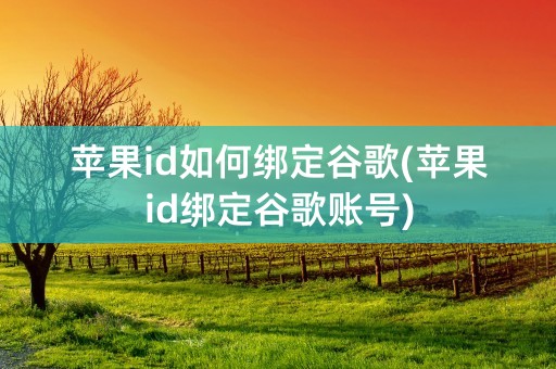 苹果id如何绑定谷歌(苹果id绑定谷歌账号)