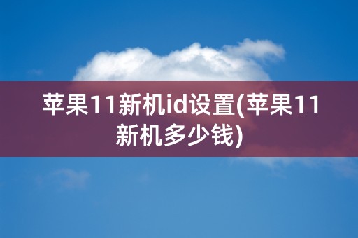 苹果11新机id设置(苹果11新机多少钱)