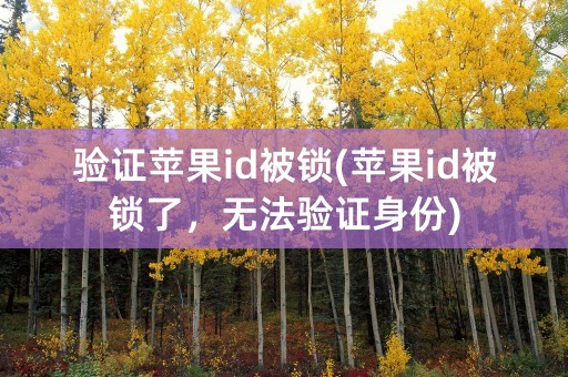 验证苹果id被锁(苹果id被锁了，无法验证身份)