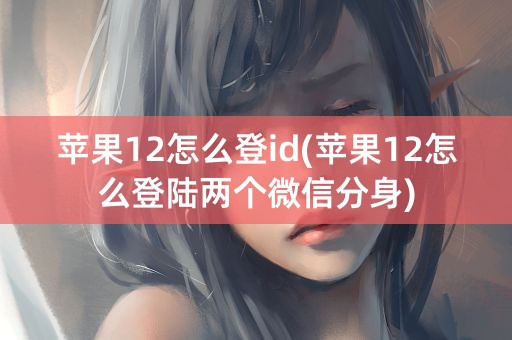 苹果12怎么登id(苹果12怎么登陆两个微信分身)