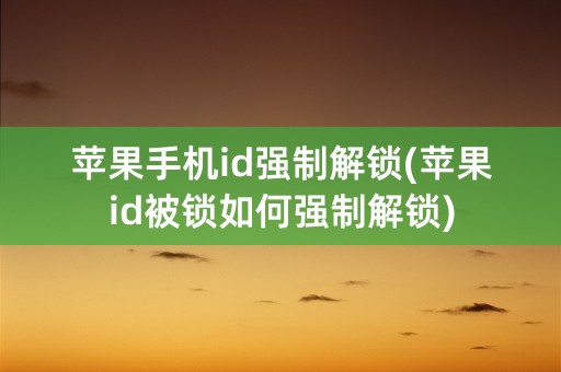 苹果手机id强制解锁(苹果id被锁如何强制解锁)