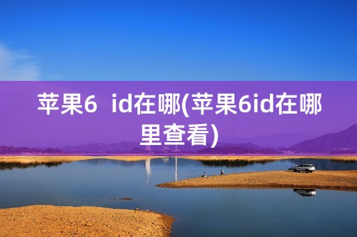 苹果6  id在哪(苹果6id在哪里查看)