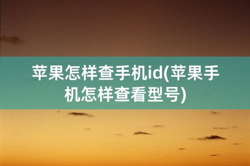 苹果怎样查手机id(苹果手机怎样查看型号)