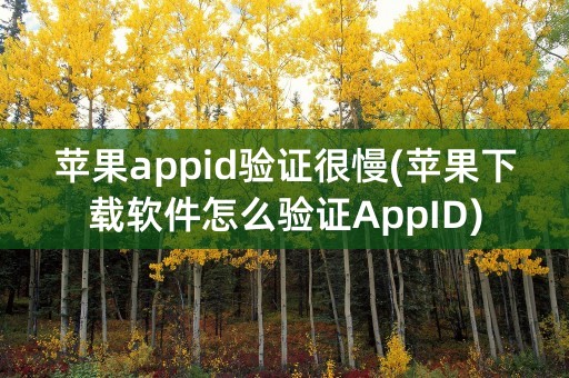 苹果appid验证很慢(苹果下载软件怎么验证AppID)