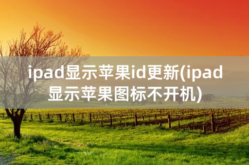 ipad显示苹果id更新(ipad显示苹果图标不开机)