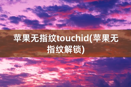 苹果无指纹touchid(苹果无指纹解锁)