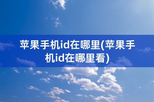 苹果手机id在哪里(苹果手机id在哪里看)