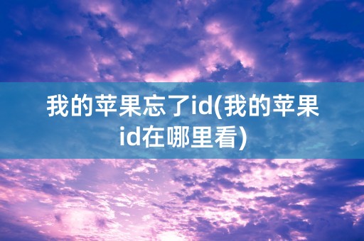 我的苹果忘了id(我的苹果id在哪里看)