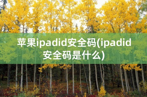 苹果ipadid安全码(ipadid安全码是什么)