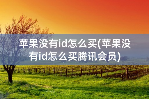 苹果没有id怎么买(苹果没有id怎么买腾讯会员)