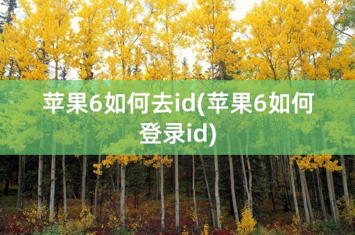 苹果6如何去id(苹果6如何登录id)