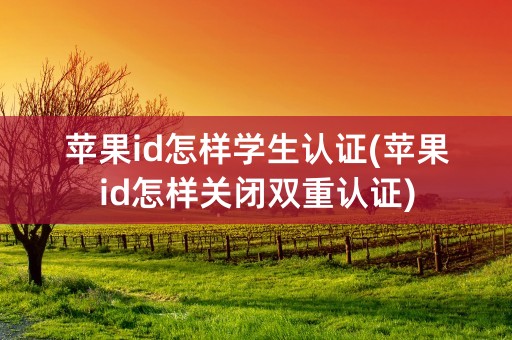 苹果id怎样学生认证(苹果id怎样关闭双重认证)