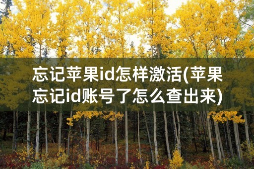 忘记苹果id怎样激活(苹果忘记id账号了怎么查出来)