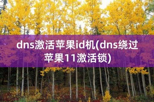 dns激活苹果id机(dns绕过苹果11激活锁)