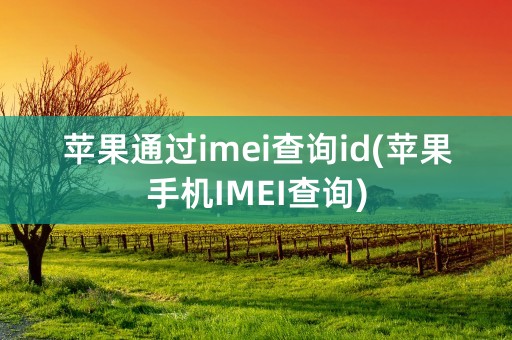 苹果通过imei查询id(苹果手机IMEI查询)