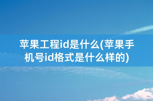 苹果工程id是什么(苹果手机号id格式是什么样的)