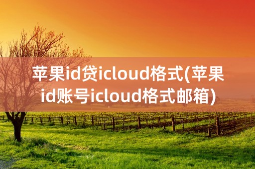 苹果id贷icloud格式(苹果id账号icloud格式邮箱)