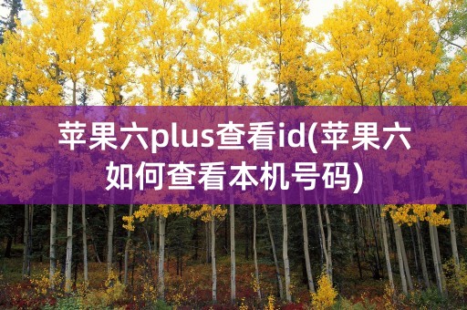 苹果六plus查看id(苹果六如何查看本机号码)