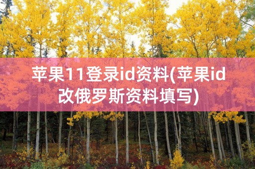 苹果11登录id资料(苹果id改俄罗斯资料填写)