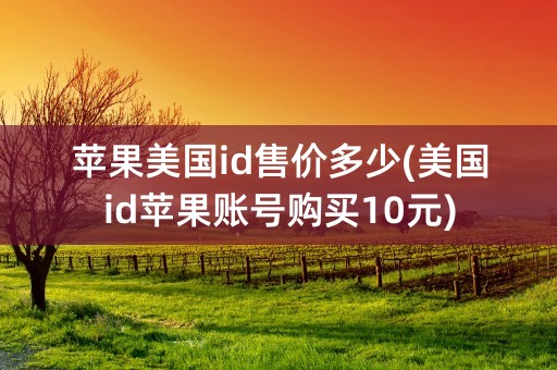 苹果美国id售价多少(美国id苹果账号购买10元)