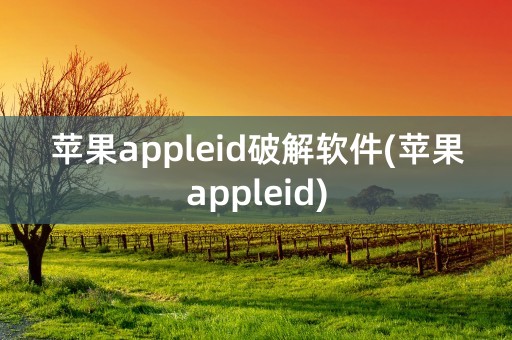 苹果appleid破解软件(苹果appleid)