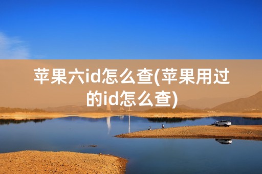 苹果六id怎么查(苹果用过的id怎么查)