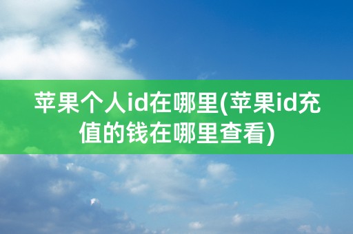 苹果个人id在哪里(苹果id充值的钱在哪里查看)