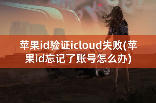 苹果id验证icloud失败(苹果id忘记了账号怎么办)