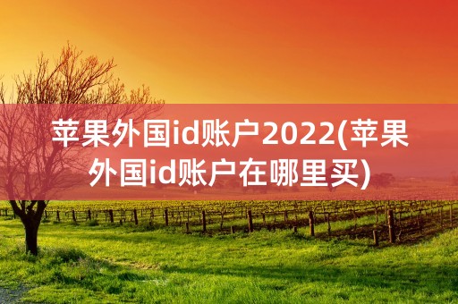 苹果外国id账户2022(苹果外国id账户在哪里买)