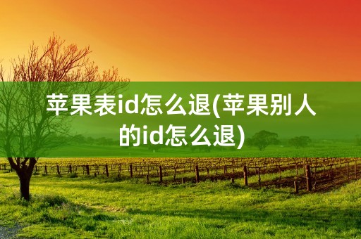 苹果表id怎么退(苹果别人的id怎么退)