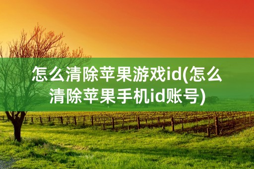 怎么清除苹果游戏id(怎么清除苹果手机id账号)