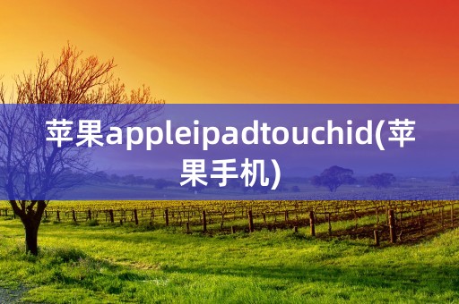 苹果appleipadtouchid(苹果手机)