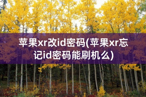 苹果xr改id密码(苹果xr忘记id密码能刷机么)