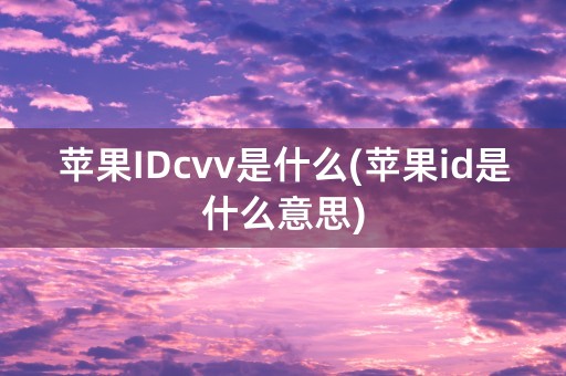 苹果IDcvv是什么(苹果id是什么意思)