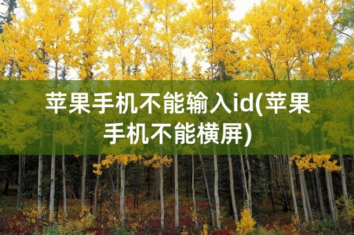 苹果手机不能输入id(苹果手机不能横屏)