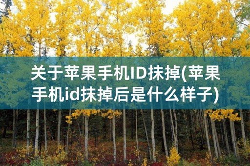 关于苹果手机ID抹掉(苹果手机id抹掉后是什么样子)