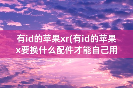 有id的苹果xr(有id的苹果x要换什么配件才能自己用)