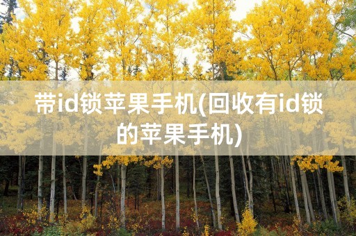 带id锁苹果手机(回收有id锁的苹果手机)