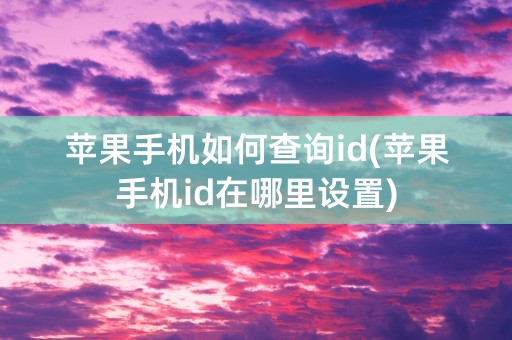 苹果手机如何查询id(苹果手机id在哪里设置)